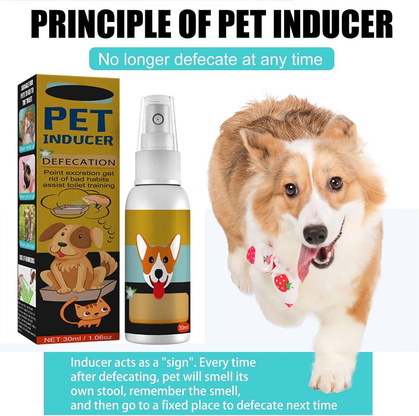 🐾 Potty Training Spray – Train Pets with Ease