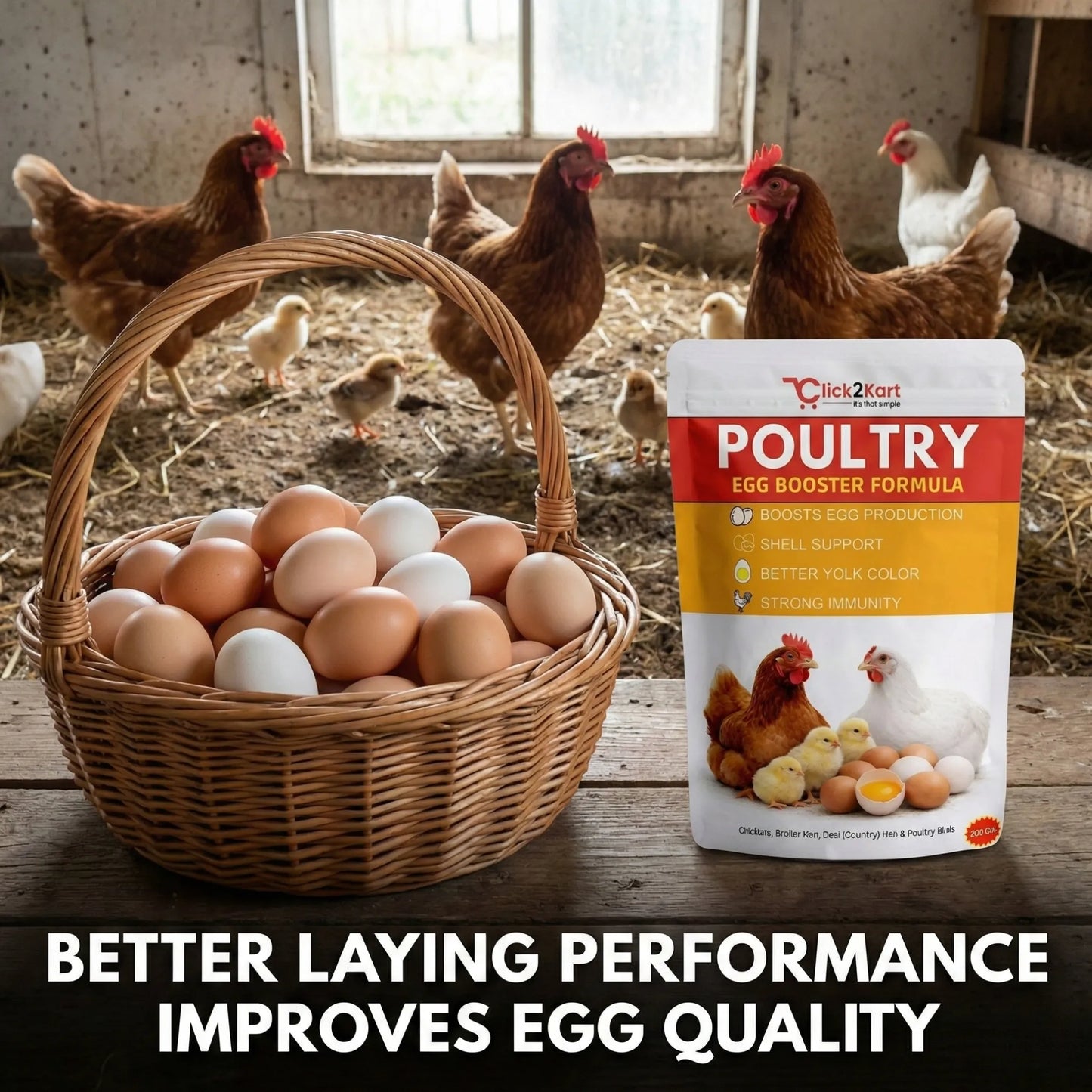 Poultry Egg Booster Formula – Boost Egg Production Naturally