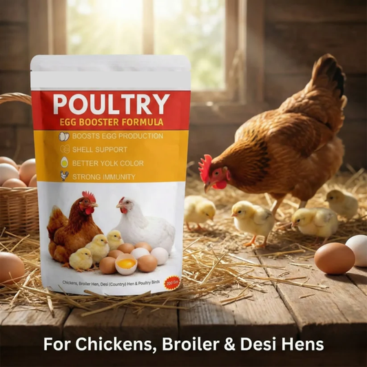 Poultry Egg Booster Formula – Boost Egg Production Naturally