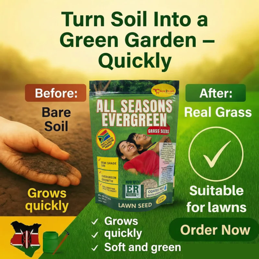 All Seasons Evergreen Grass Seeds | Fast Germination | Year-Round Beautiful Green Lawn