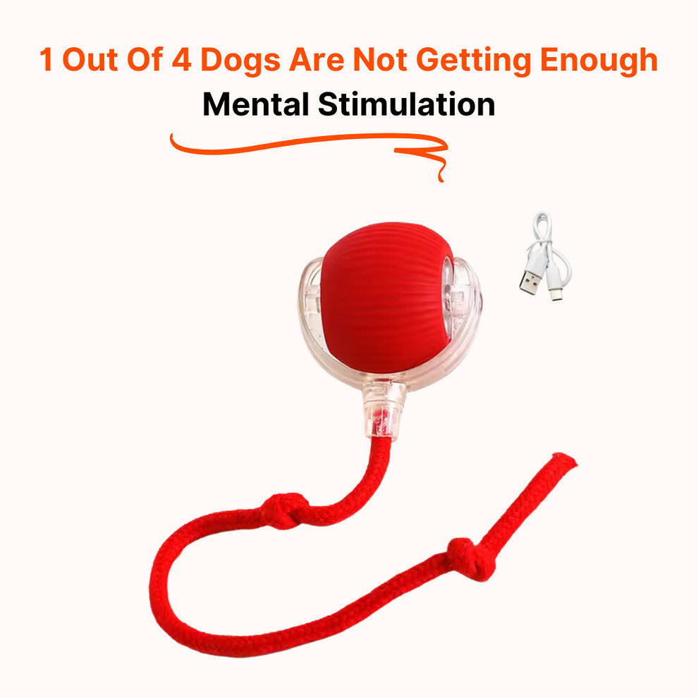 SMART Interactive Dog Toy – (Buy 1 Get 1 Free)