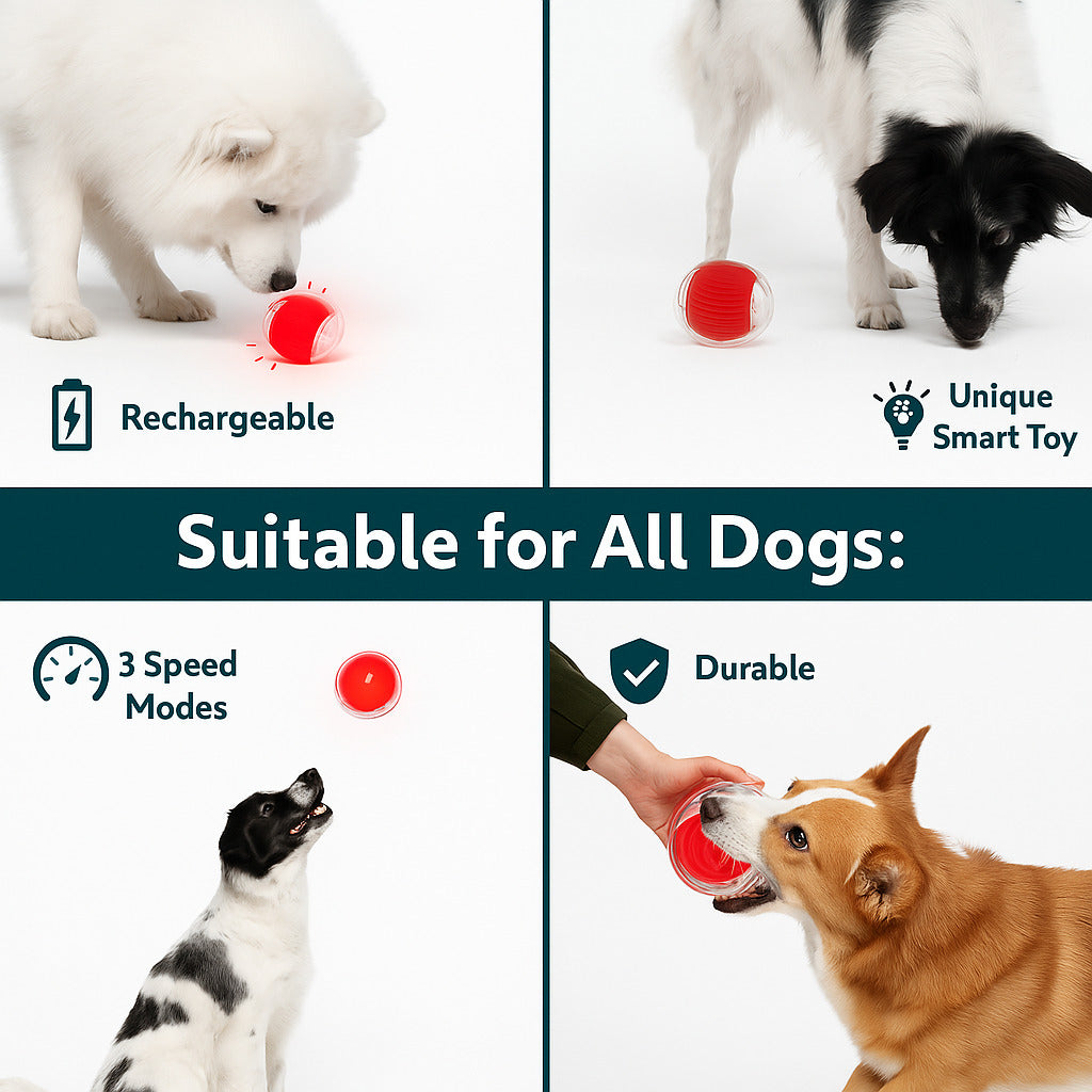 SMART Interactive Dog Toy – (Buy 1 Get 1 Free)