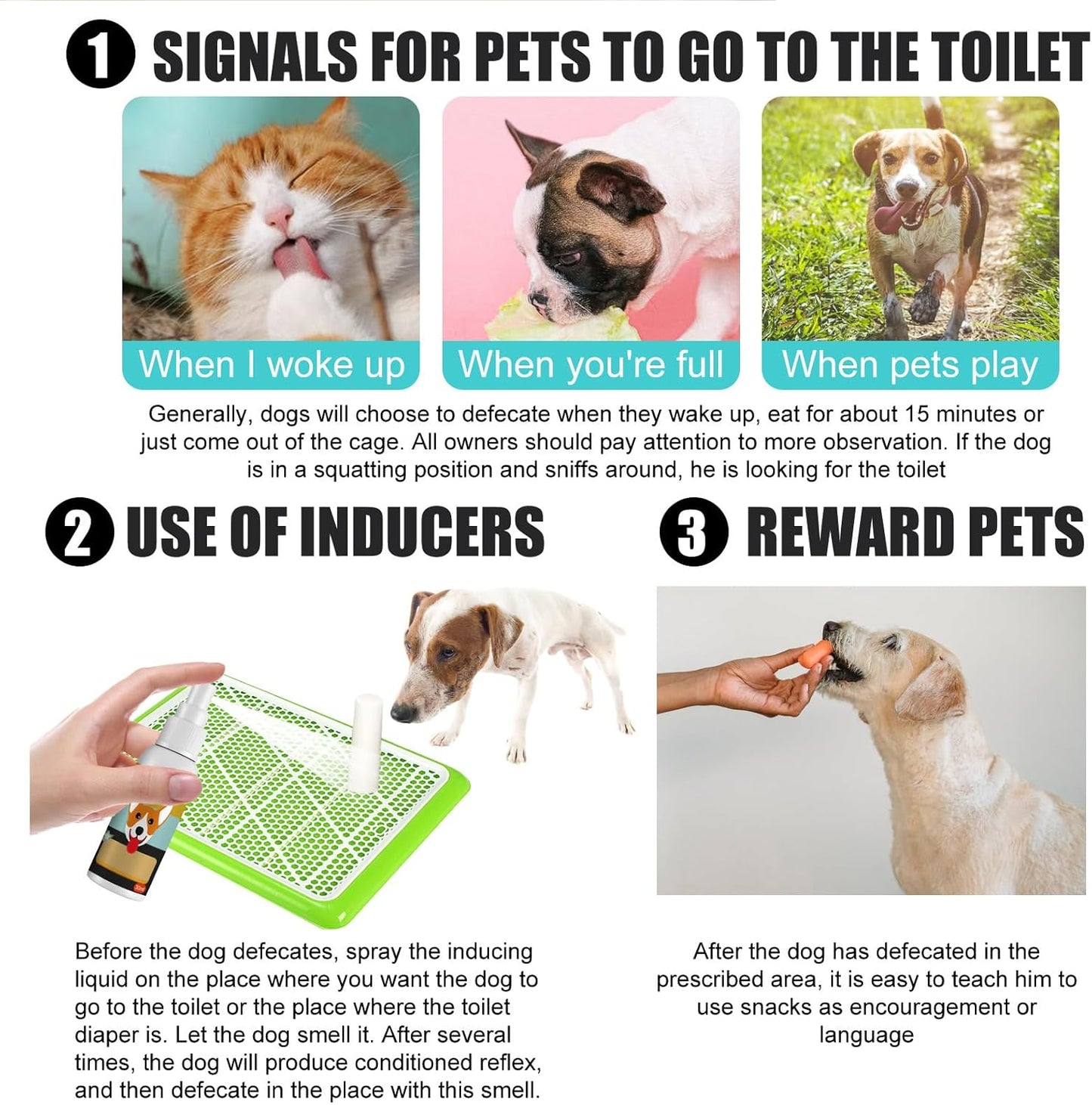 🐾 Potty Training Spray – Train Pets with Ease