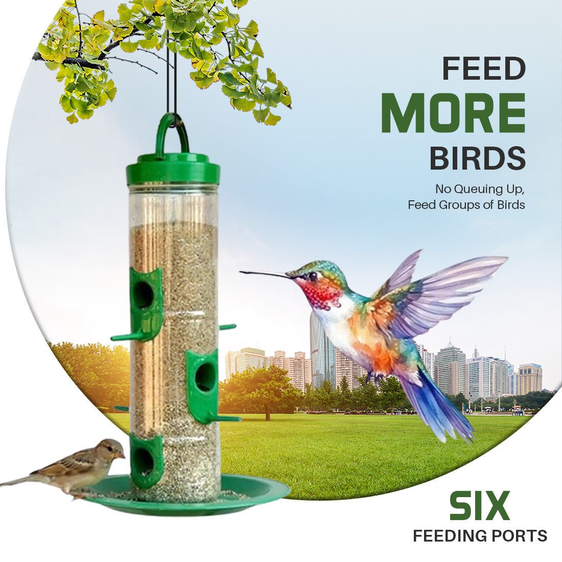 Durable Hanging Bird Feeder for Outdoor Use – Attracts Wild Birds